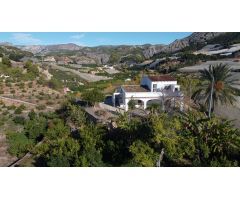 Chalet en Venta en Callosa dEn Sarria, Alicante