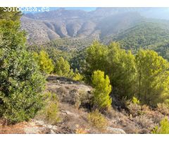 Parcela en Venta en Altea la Vella, Alicante