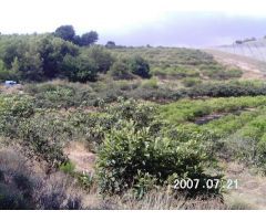 Parcela en Venta en Callosa dEn Sarria, Alicante