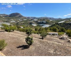 Parcela en Venta en Callosa dEn Sarria, Alicante