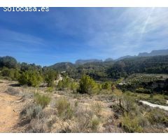 Parcela en Venta en Callosa dEn Sarria, Alicante