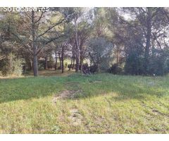 Chalet en Venta en Saus, Camallera i Llampaies, Girona