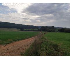 Finca rustica en Venta en Saus, Camallera i Llampaies, Girona