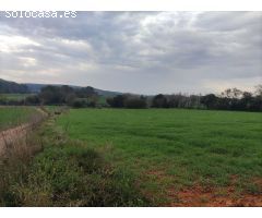 Finca rustica en Venta en Saus, Camallera i Llampaies, Girona