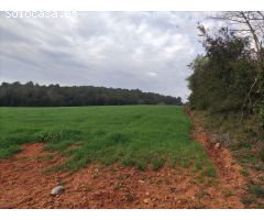 Finca rustica en Venta en Saus, Camallera i Llampaies, Girona