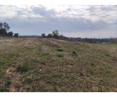 Finca rustica en Venta en Vilopriu, Girona