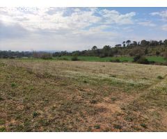 Finca rustica en Venta en Vilopriu, Girona