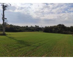 Finca rustica en Venta en Vilopriu, Girona