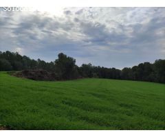 Finca rustica en Venta en Vilopriu, Girona