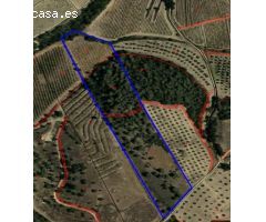 Finca rustica en Venta en Brabos, Girona