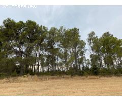 Finca rustica en Venta en Vilopriu, Girona