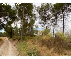 Finca rustica en Venta en Vilopriu, Girona