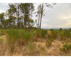 Finca rustica en Venta en Vilopriu, Girona