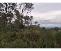 Finca rustica en Venta en Vilopriu, Girona
