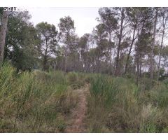 Finca rustica en Venta en Vilopriu, Girona