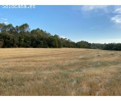 Finca rustica en Venta en Vilopriu, Girona