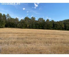 Finca rustica en Venta en Vilopriu, Girona