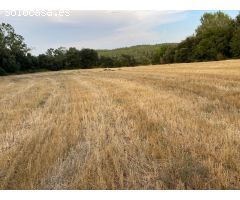 Finca rustica en Venta en Vilopriu, Girona