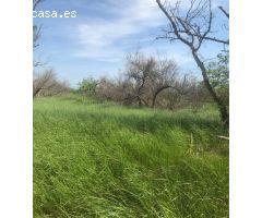 Finca rustica en Venta en Sant Pere Pescador, Girona