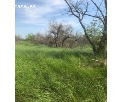 Finca rustica en Venta en Sant Pere Pescador, Girona