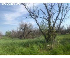 Finca rustica en Venta en Sant Pere Pescador, Girona