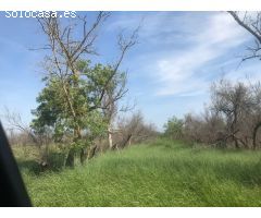 Finca rustica en Venta en Sant Pere Pescador, Girona