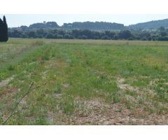 Finca rustica en Venta en els Masos de Ventalló, Girona
