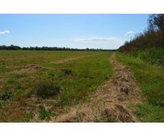 Finca rustica en Venta en Sant Pere Pescador, Girona
