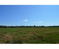 Finca rustica en Venta en Sant Pere Pescador, Girona