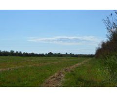 Finca rustica en Venta en Sant Pere Pescador, Girona