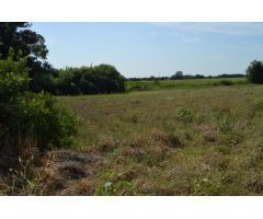 Finca rustica en Venta en Palau de Santa Eulalia, Girona