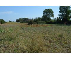Finca rustica en Venta en Palau de Santa Eulalia, Girona