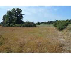 Finca rustica en Venta en Palau de Santa Eulalia, Girona