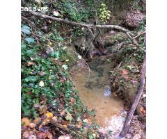 Finca rustica en Venta en Bàscara, Girona