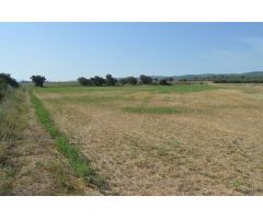 Finca rustica en Venta en els Masos de Ventalló, Girona