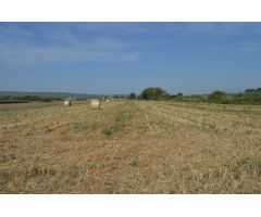Finca rustica en Venta en els Masos de Ventalló, Girona