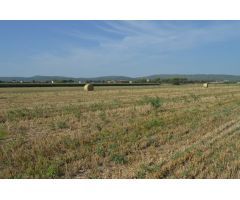 Finca rustica en Venta en els Masos de Ventalló, Girona