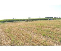 Finca rustica en Venta en els Masos de Ventalló, Girona