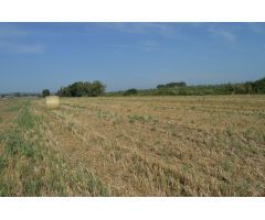 Finca rustica en Venta en els Masos de Ventalló, Girona