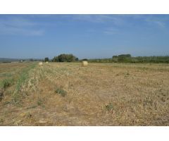 Finca rustica en Venta en els Masos de Ventalló, Girona