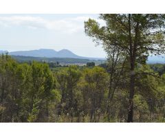 Finca rustica en Venta en Vilopriu, Girona