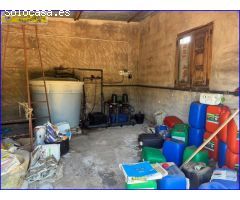 Finca Rústica en Venta: Productiva Plantación de Limón Fino y Cortijo Equipado ????????