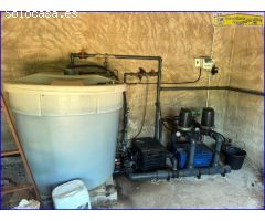 Finca Rústica en Venta: Productiva Plantación de Limón Fino y Cortijo Equipado ????????