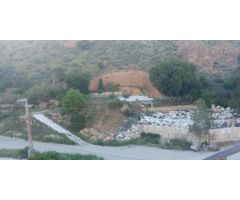 TERRENO URBANIZABLE EN MACAEL ALMERIA.