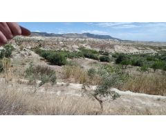 LÚCAR ( ALMERÍA ), TERRENO URBANO CON AGUA .