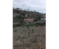 VENTA DE TERRENO RÚSTICO CON NAVE CORTIJO EN TAHAL, ALMERÍA.
