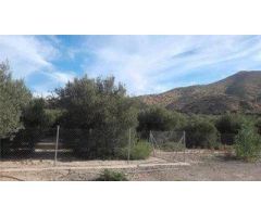 Casa con Terreno en Alhabia, Almería: Oportunidad Única
