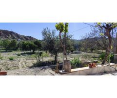 EN PURCHENA ( ALMERÍA ), VENTA DE CASA DE DOS HABITACIONES CON TERRENO.
