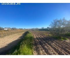 Finca rustica en Venta en Villa del Prado, Madrid