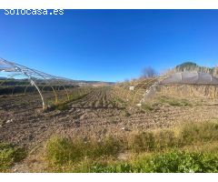 Finca rustica en Venta en Villa del Prado, Madrid